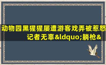 动物园黑猩猩屡遭游客戏弄被惹怒 记者无辜“躺枪”